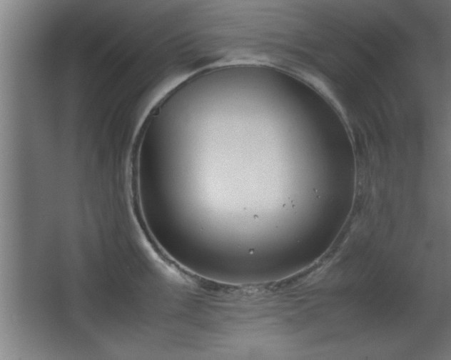 X0000067831003200604201210