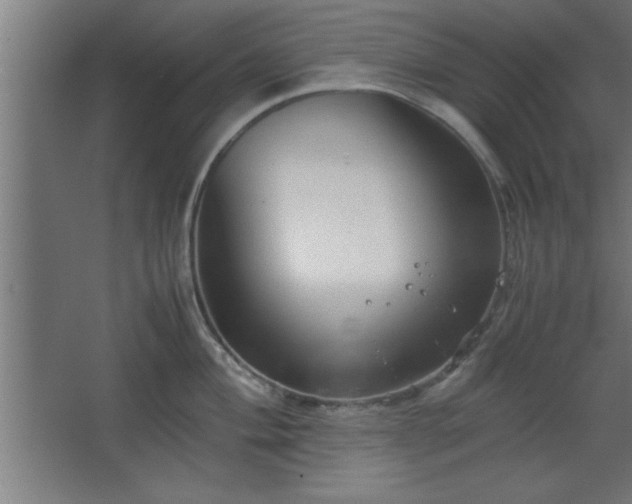 X0000067831004200604201210