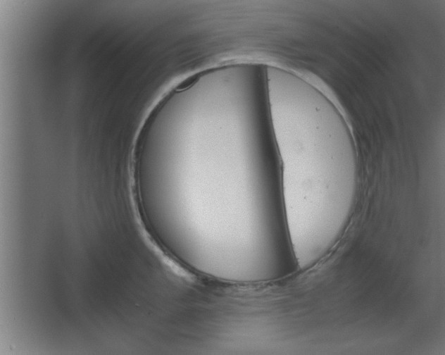 X0000067831005200604201210