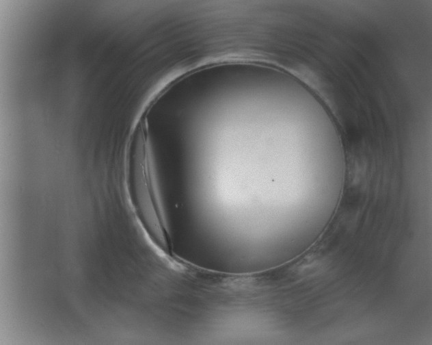 X0000067831006200604201210