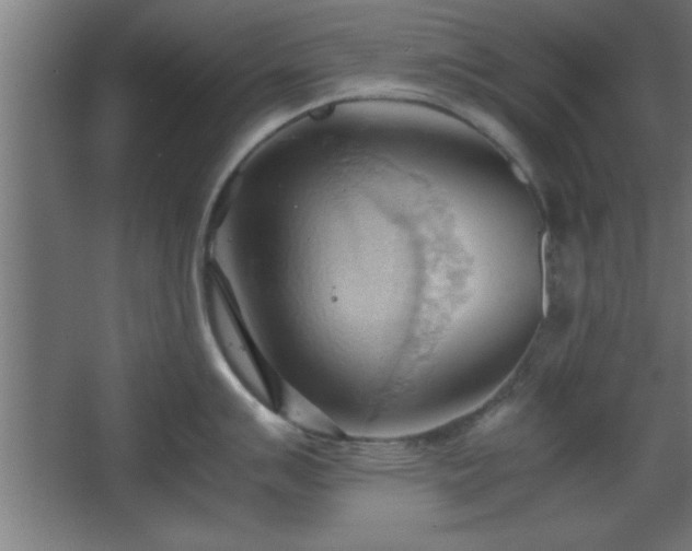 X0000067831007200604201210