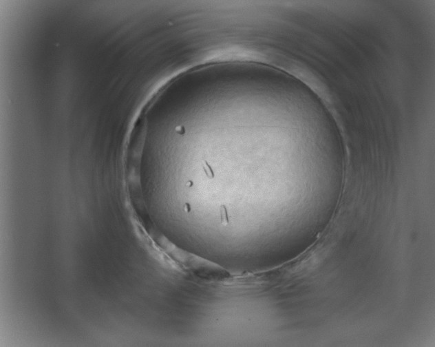 X0000067831008200604201210