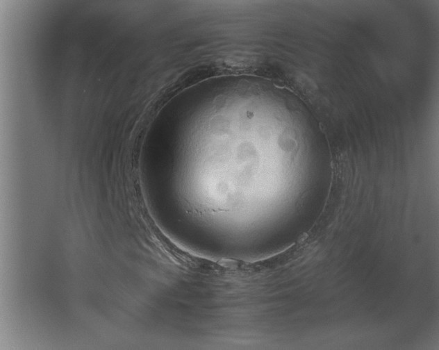 X0000067831009200604201210