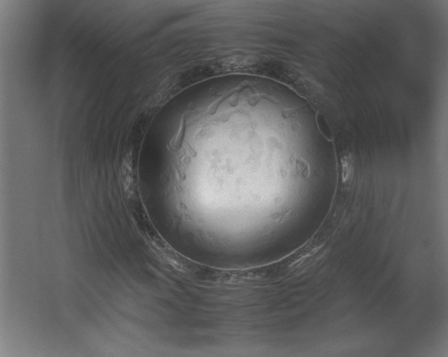 X0000067831011200604201210