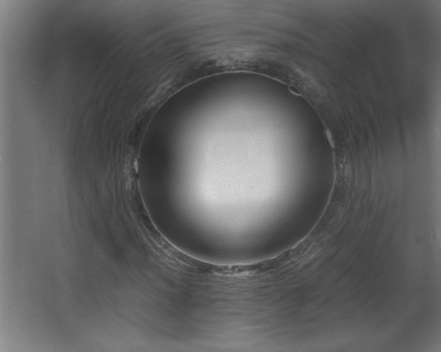 X0000067831012200604201210