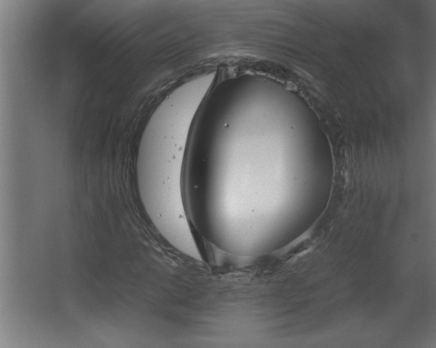 X0000067831014200604201210