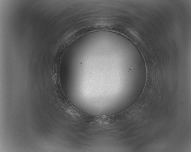 X0000067831015200604201210