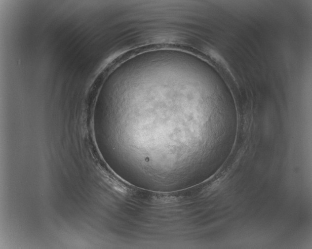 X0000067831019200604201210