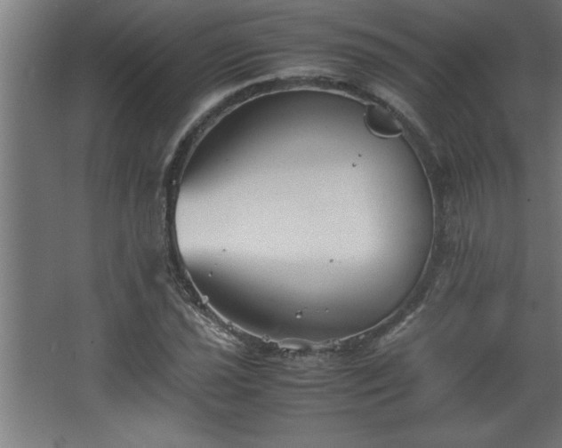 X0000067831021200604201210