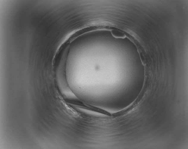 X0000067831022200604201210