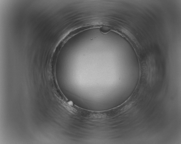 X0000067831023200604201210