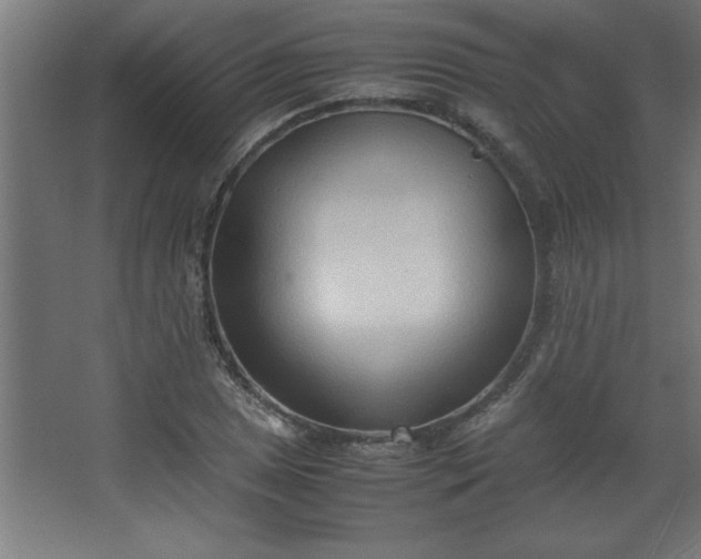 X0000067831025200604201210