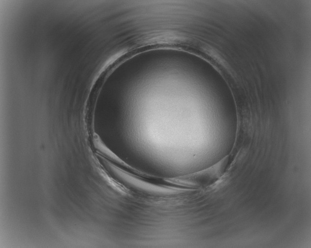 X0000067831026200604201210