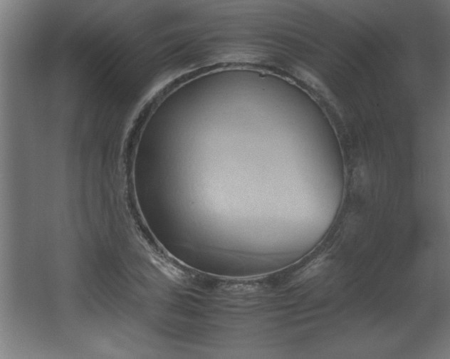 X0000067831027200604201210