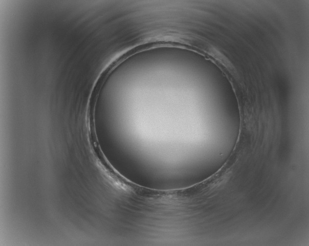 X0000067831028200604201210