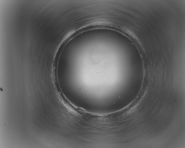 X0000067831029200604201210