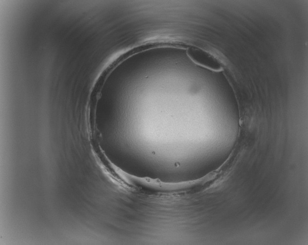 X0000067831030200604201210