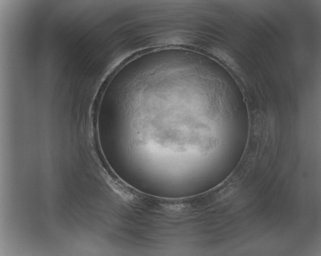 X0000067831031200604201210