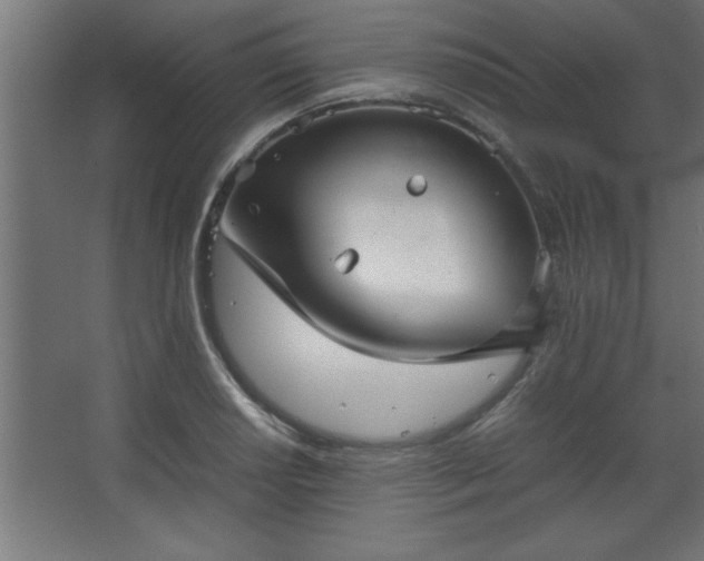 X0000067831034200604201210