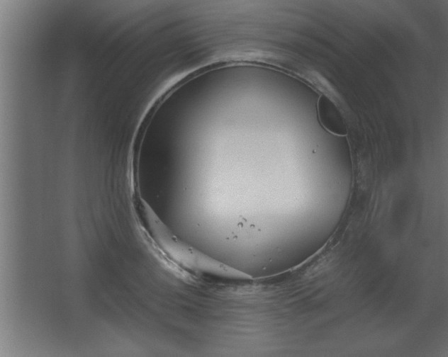 X0000067831036200604201210