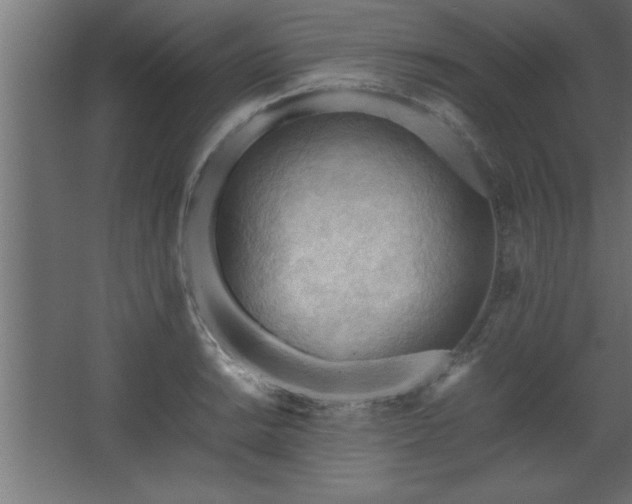 X0000067831038200604201210