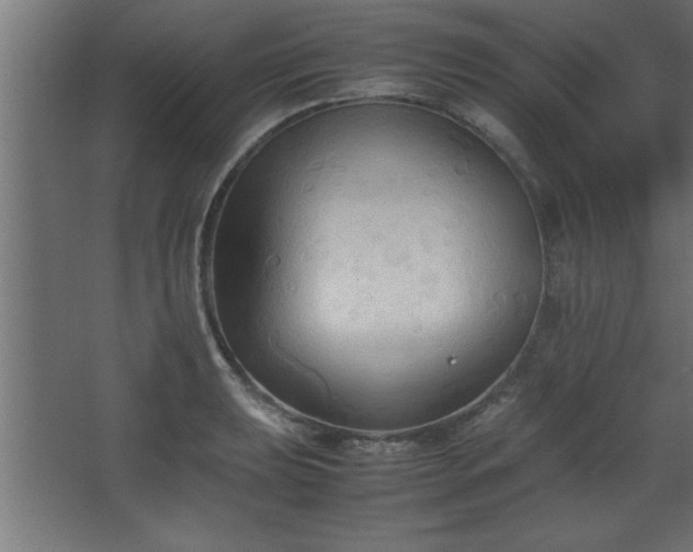 X0000067831039200604201210