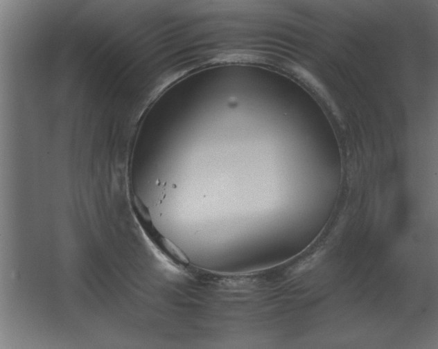 X0000067831041200604201210