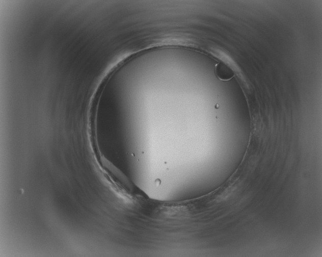 X0000067831043200604201210