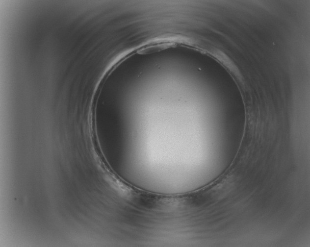 X0000067831044200604201210