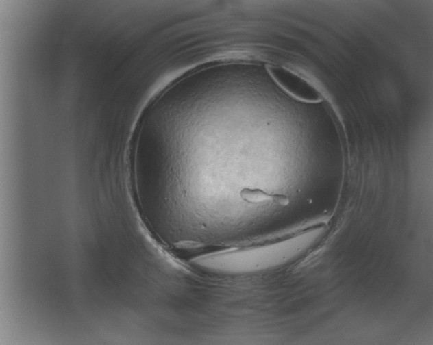 X0000067831045200604201210