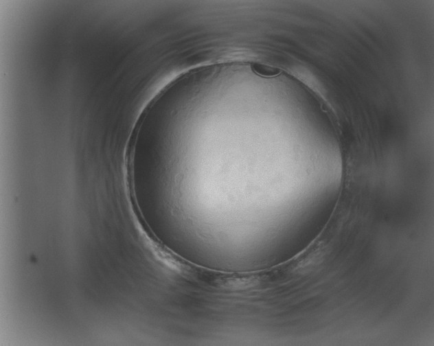 X0000067831047200604201210