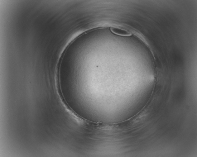 X0000067831048200604201210