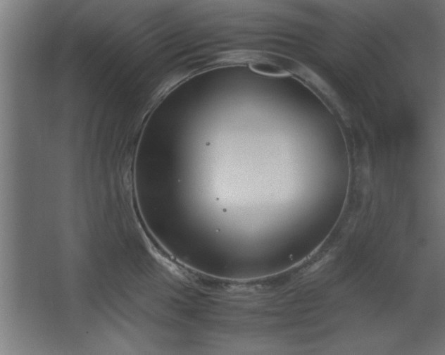 X0000067831049200604201210