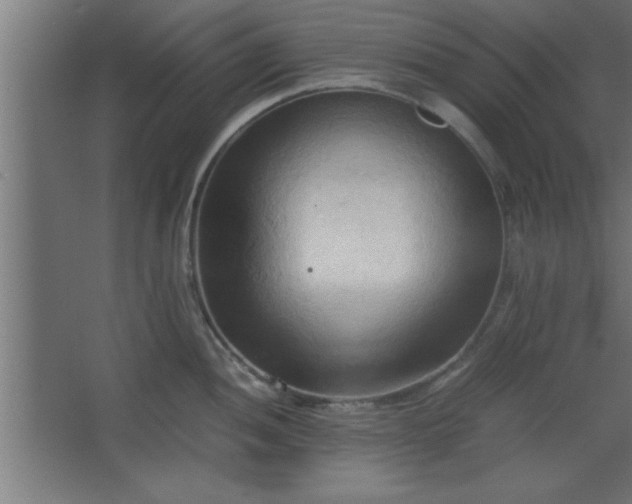 X0000067831052200604201210