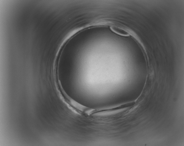 X0000067831053200604201210