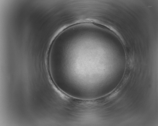 X0000067831054200604201210