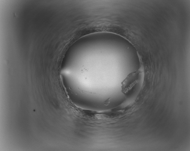 X0000067831057200604201210