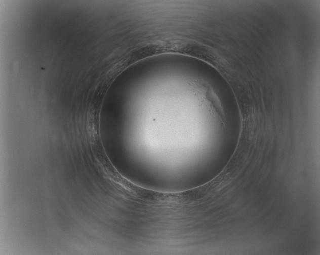 X0000067831058200604201210