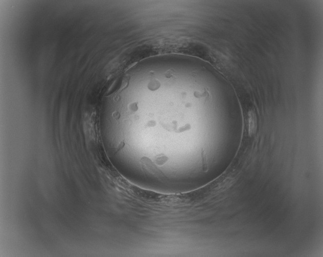 X0000067831059200604201210