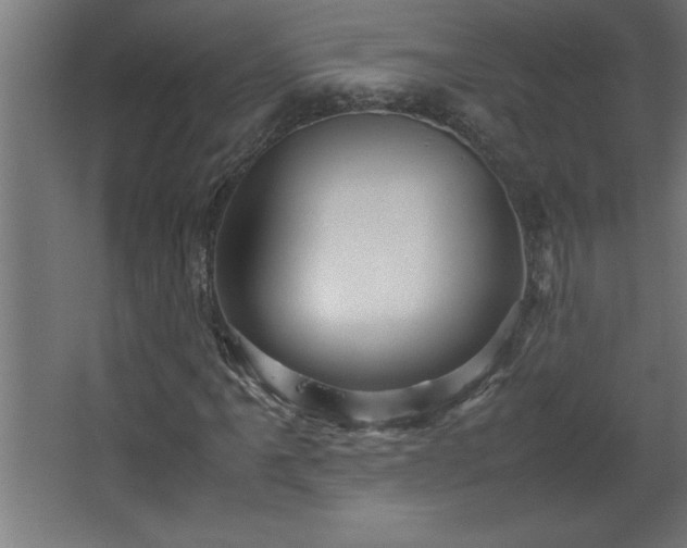 X0000067831061200604201209