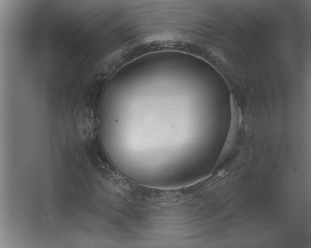 X0000067831062200604201209