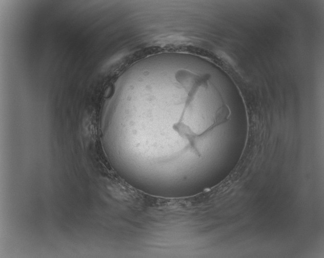 X0000067831063200604201209