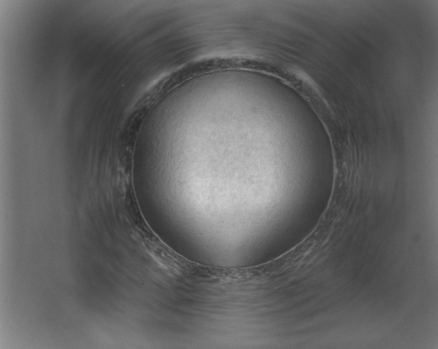 X0000067831064200604201209