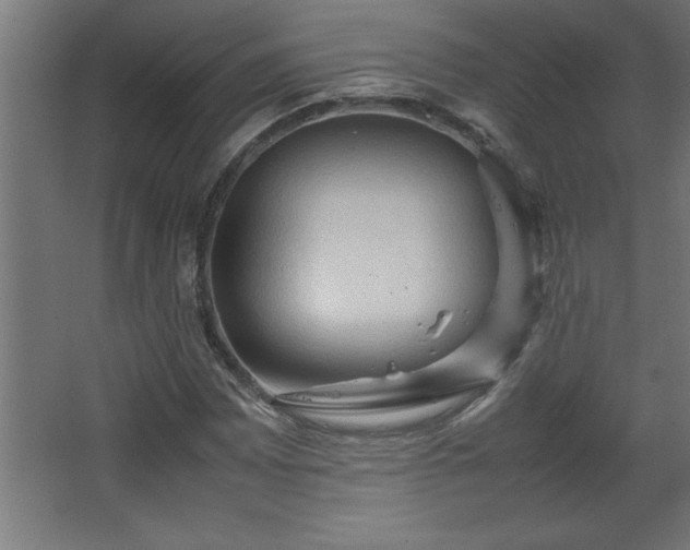 X0000067831065200604201209