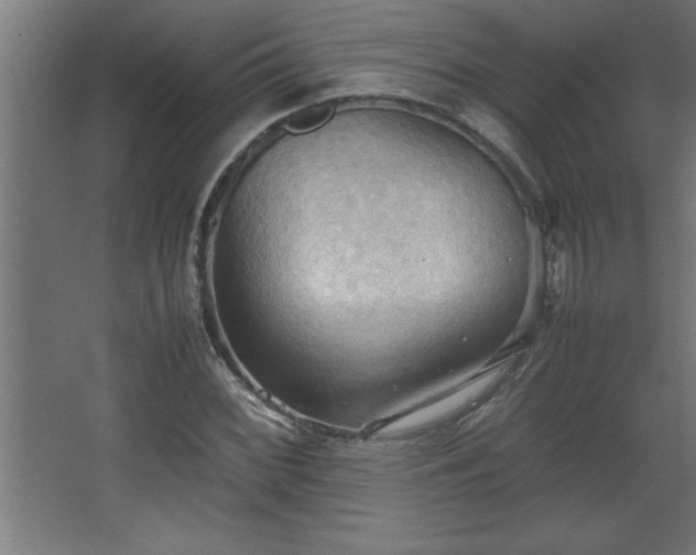 X0000067831068200604201209