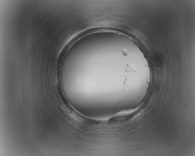 X0000067831069200604201209