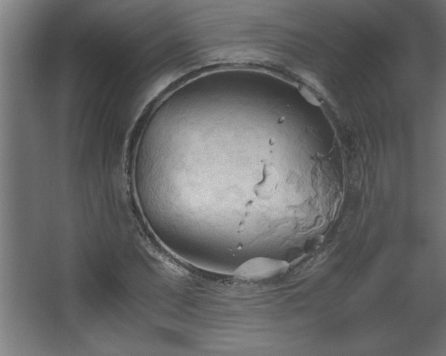 X0000067831071200604201209