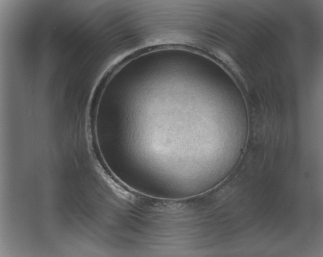 X0000067831072200604201209