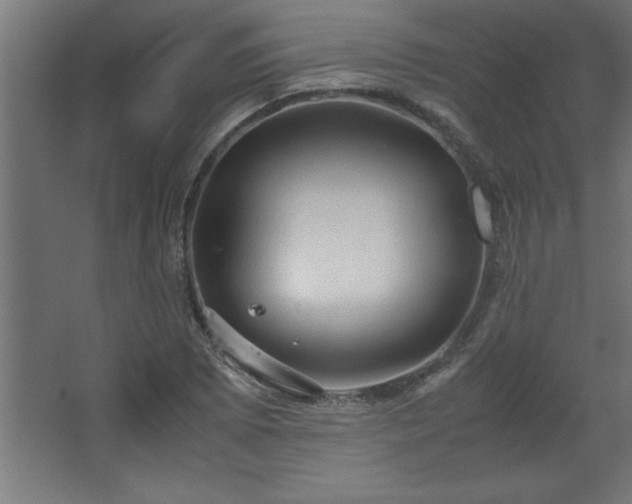 X0000067831073200604201209