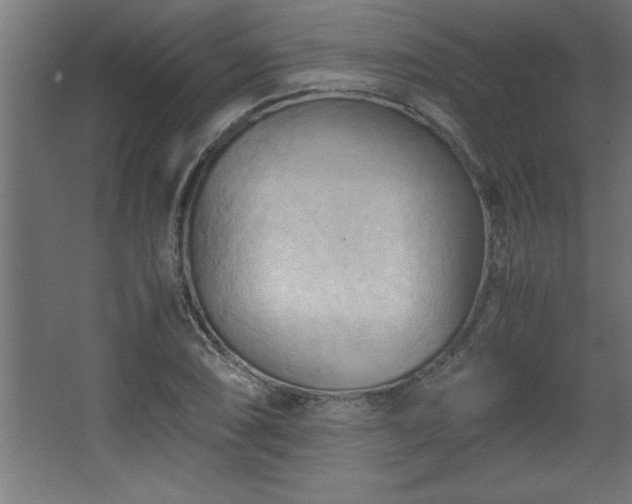 X0000067831074200604201209